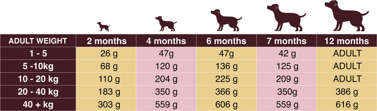 Chartspup1a