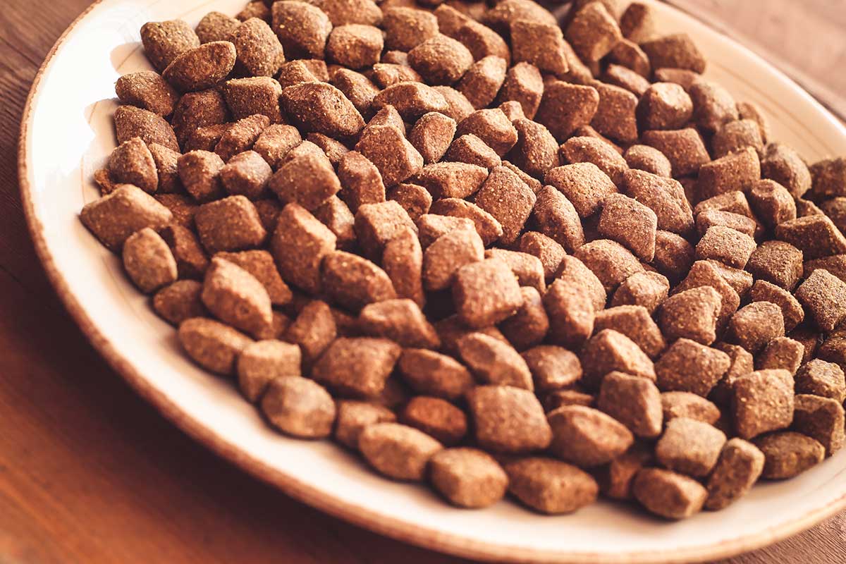 Dog Food-39