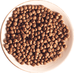 SMALL BITES.PNG